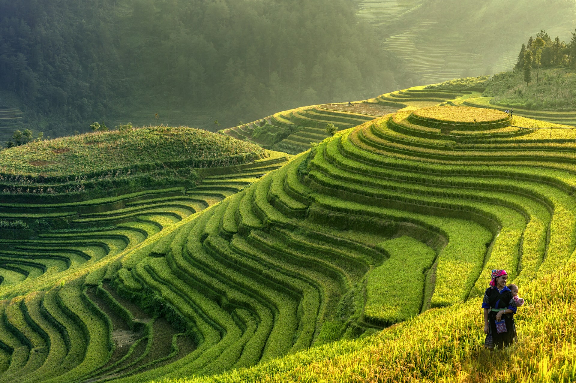 تور ویتنام 30 how-to-go-vietnam-03