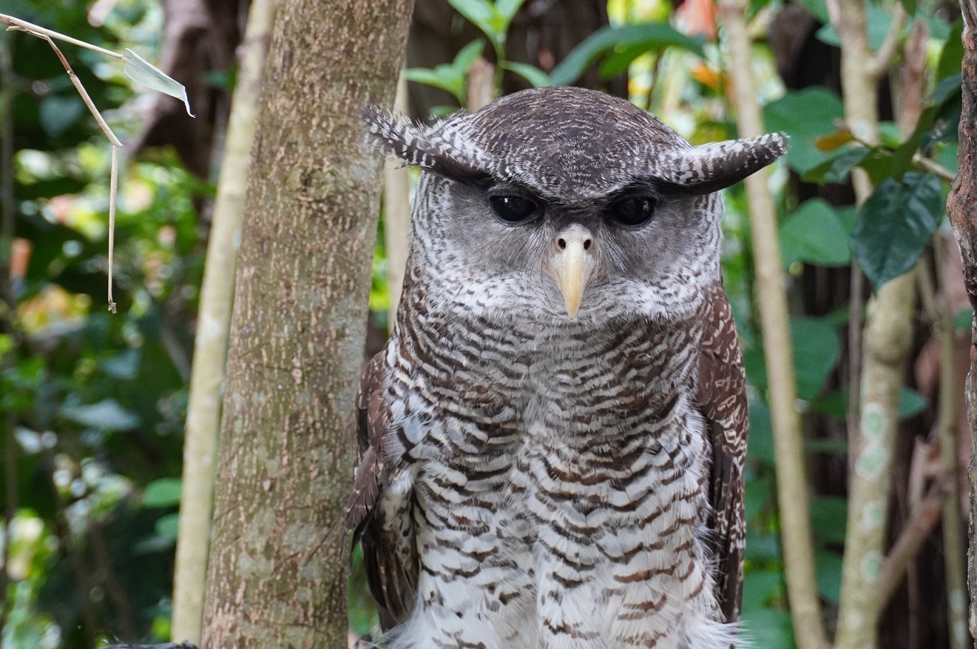 تور اندونزی 18 where-indonesia-03