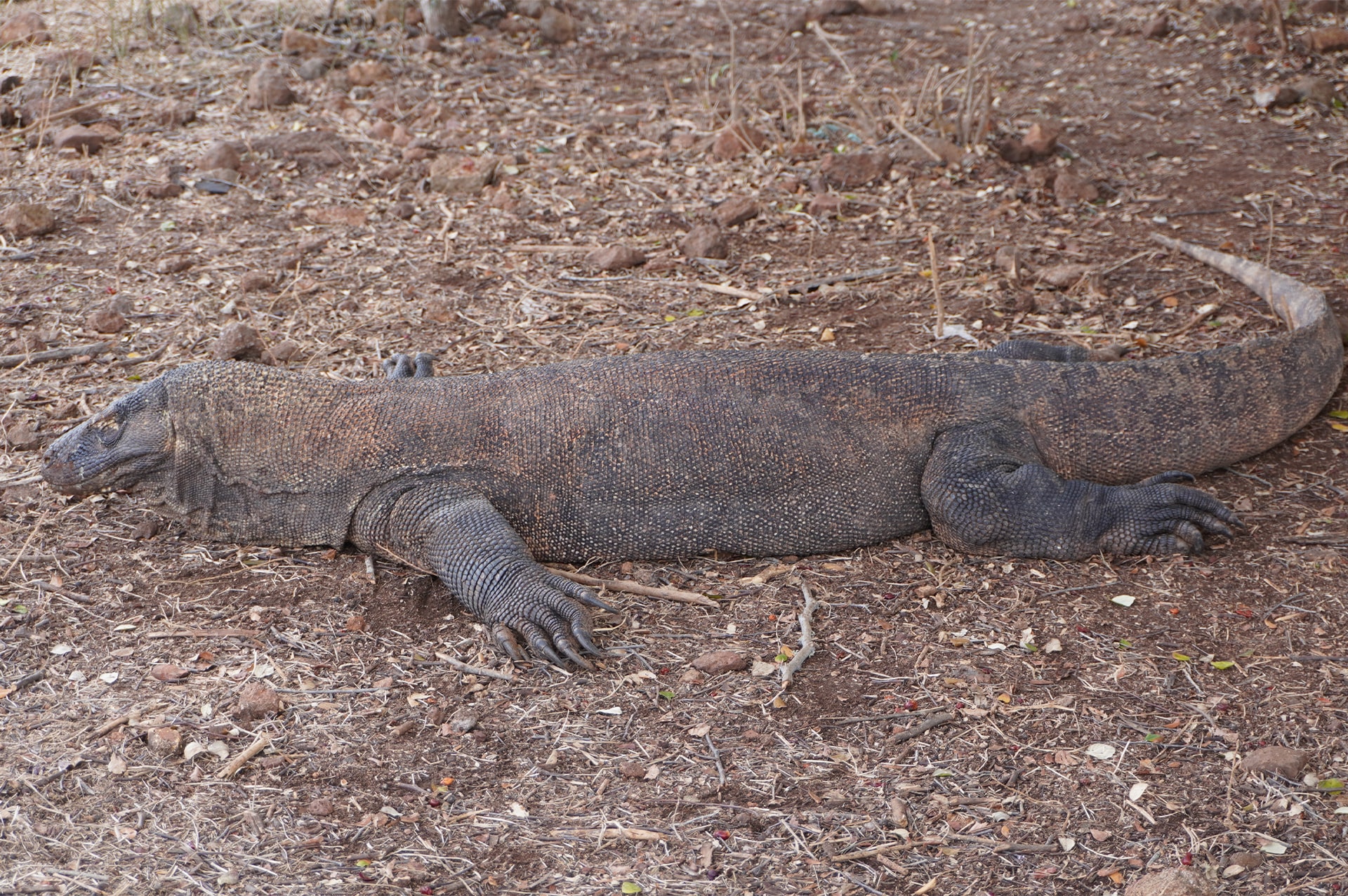 تور اندونزی 21 where-indonesia-06