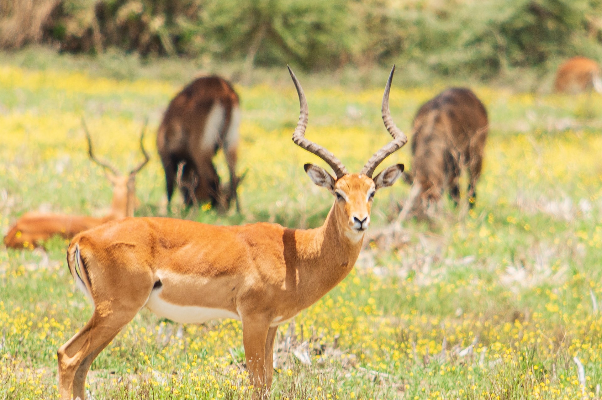 where-kenya-02