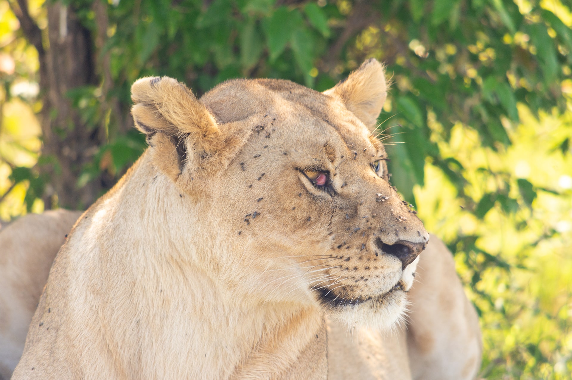 where-kenya-03