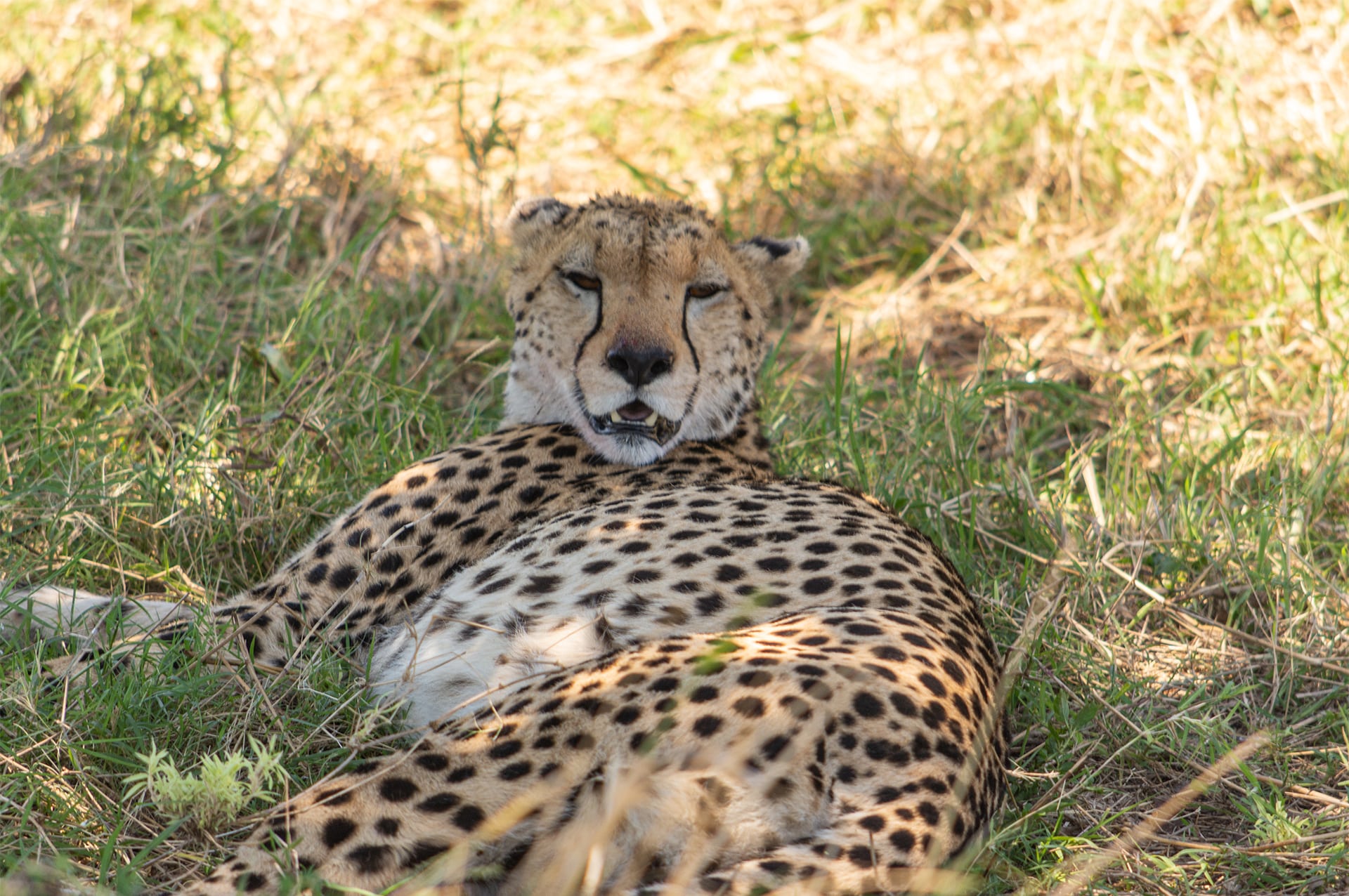 where-kenya-04