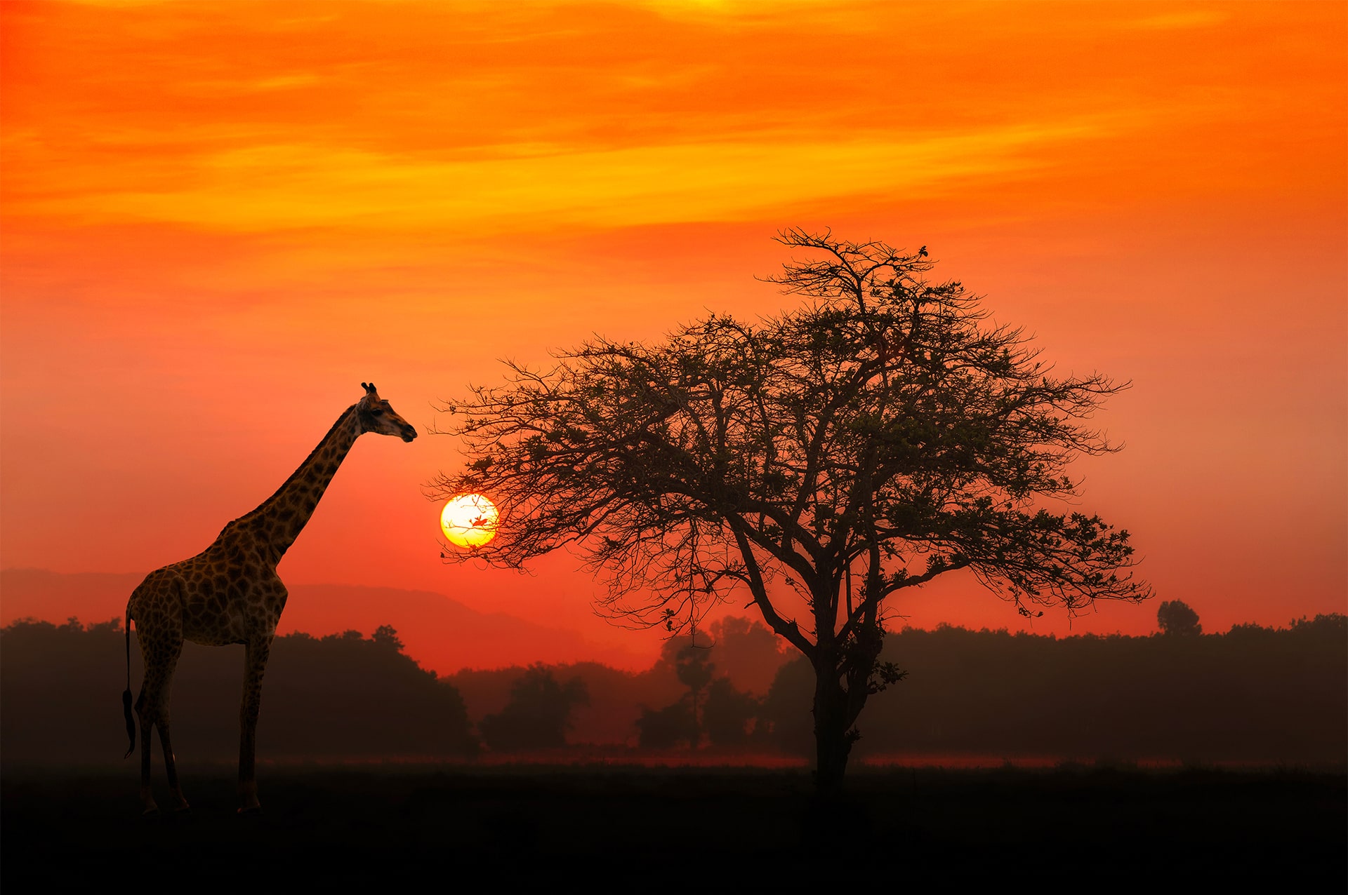 where-kenya-06