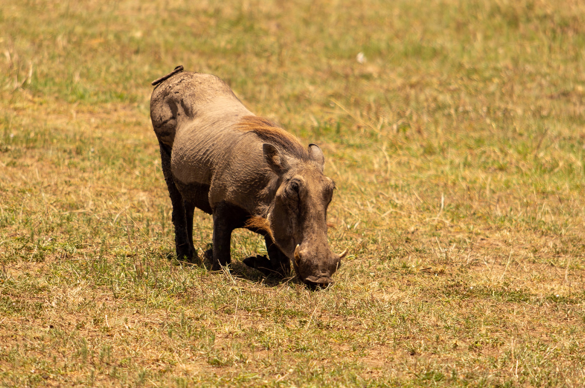 where-kenya-09