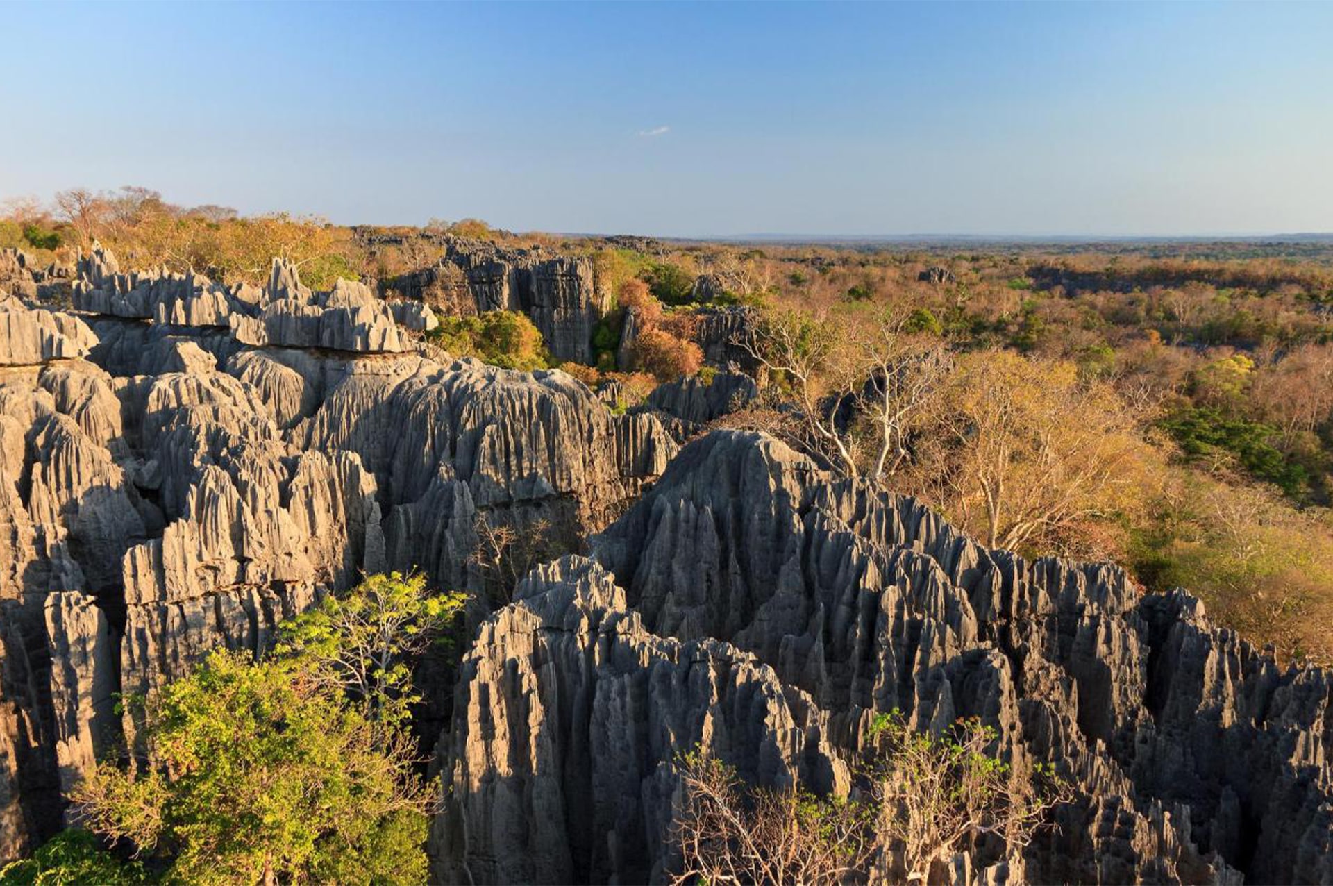 تور ماداگاسکار 10 where-madagascar-02