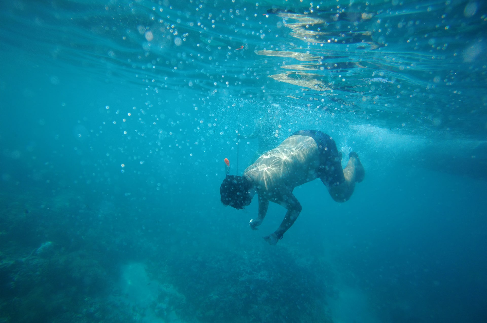 تور اندونزی 9 why-go-indonesia-08