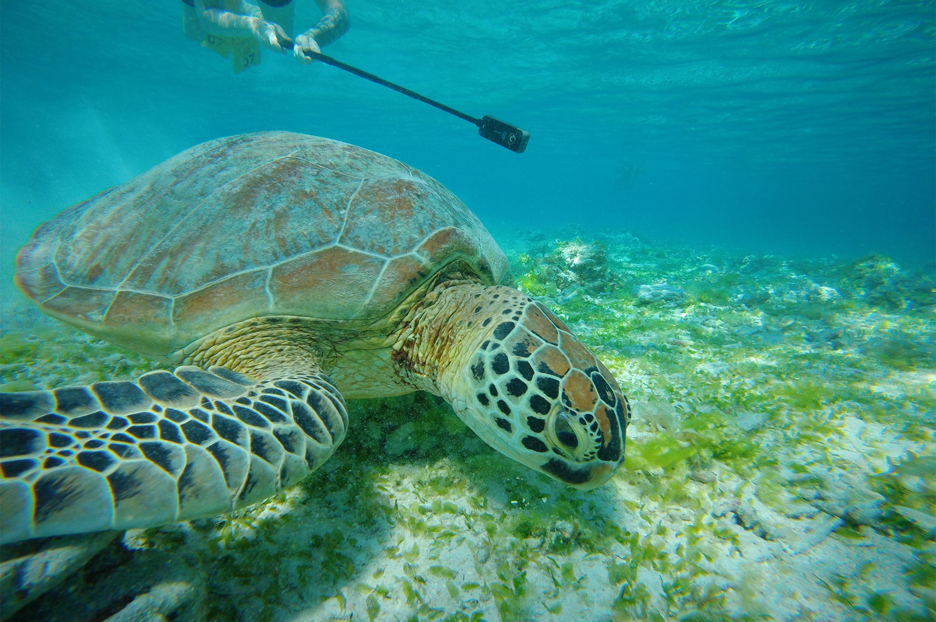 تور اندونزی 10 why-go-indonesia-09