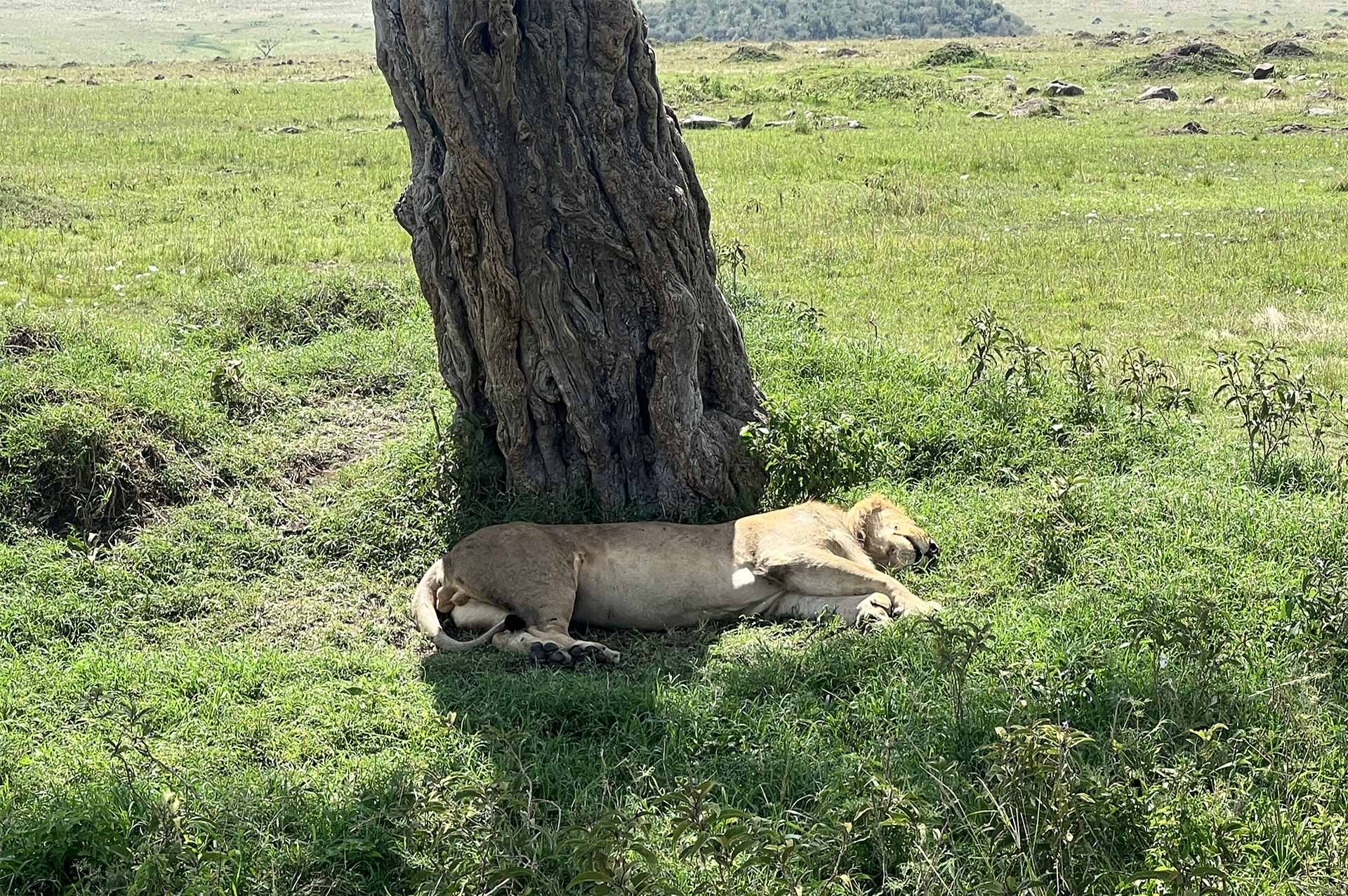 why-go-kenya-04