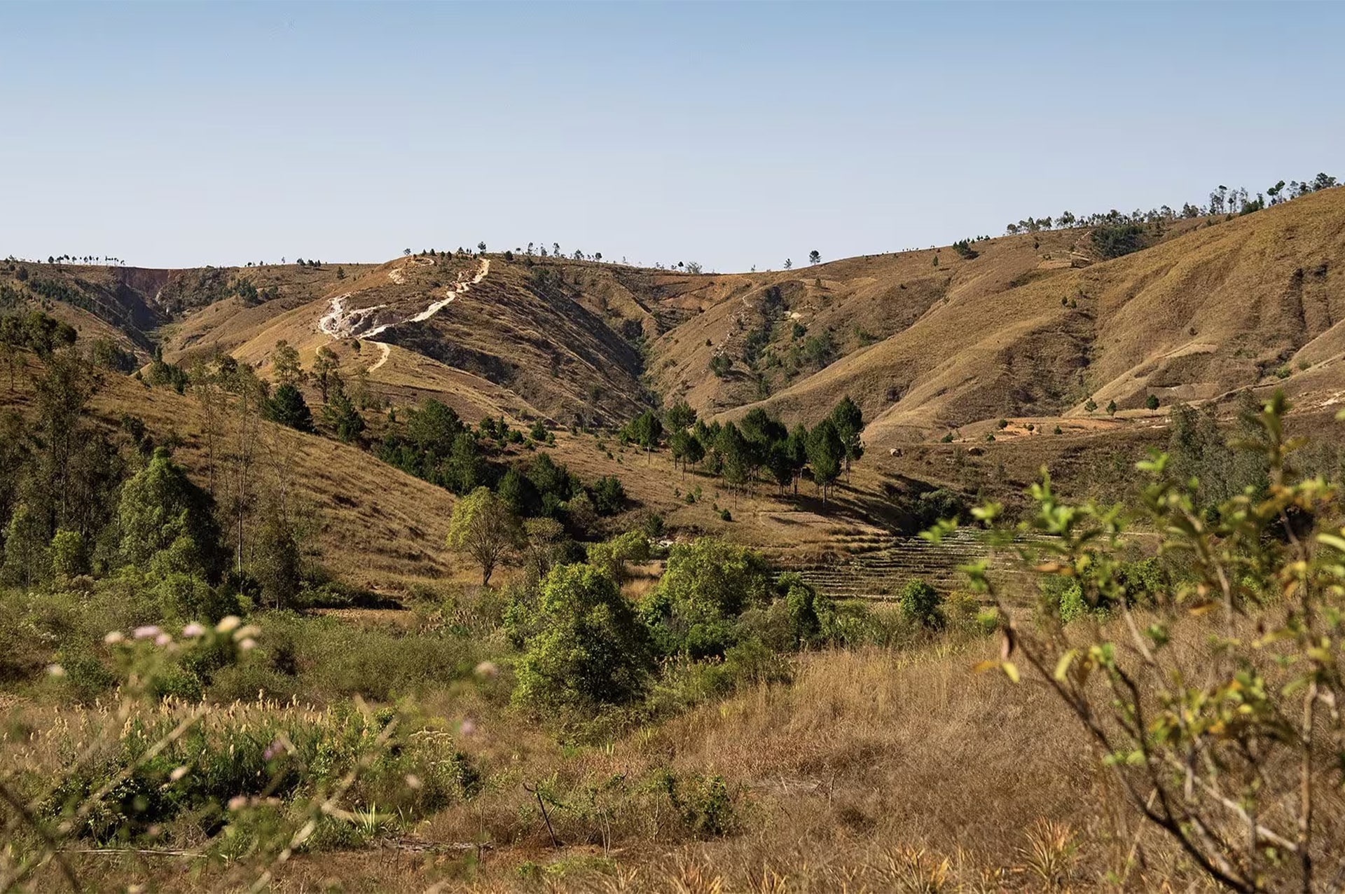 تور ماداگاسکار 2 why-go-madagascar-01