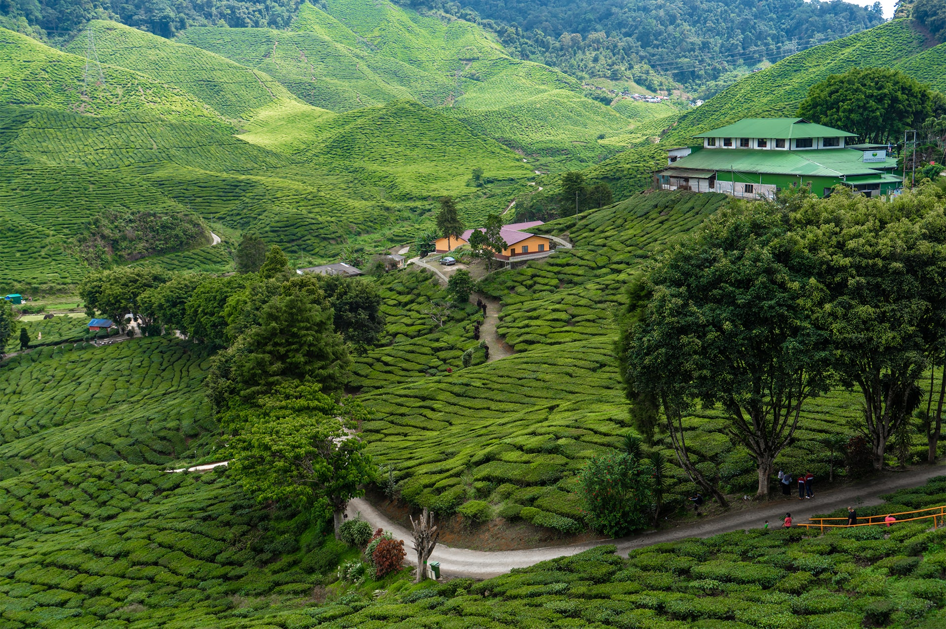 تور مالزی 3 why-go-malaysia-01
