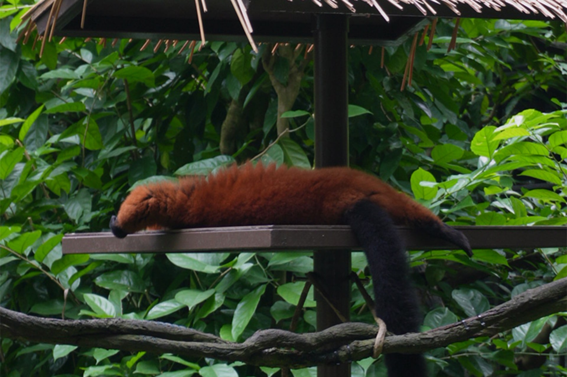 تور سنگاپور 2 why-go-singapore-01